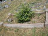 image of grave number 78919